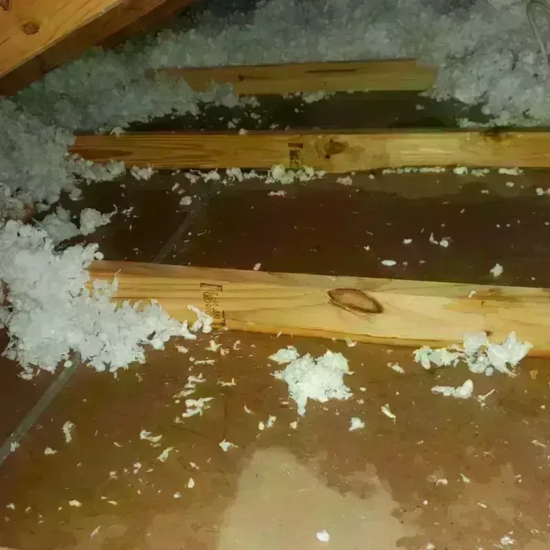 Attic Water Damage in Garland, TX