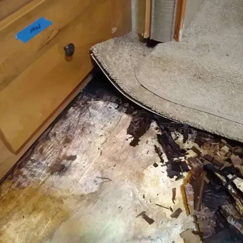 Wood Floor Water Damage in Garland, TX